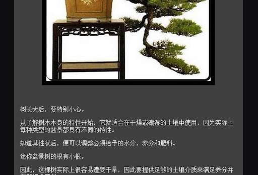 Latest bonsai design