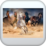 Cover Image of Descargar horses wallpaper HD  APK