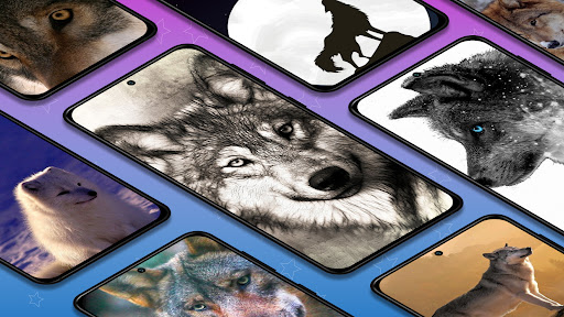 Android application Wolf wallpapers backgrounds screenshort