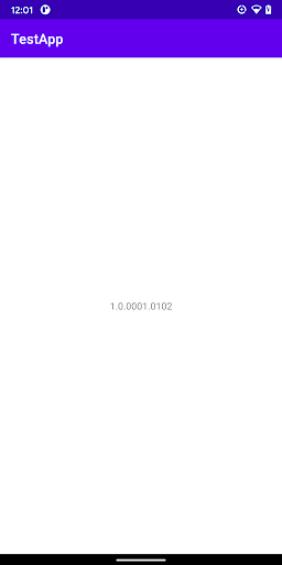 TestAPP Screen 2