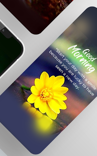 Hello and good morning new you