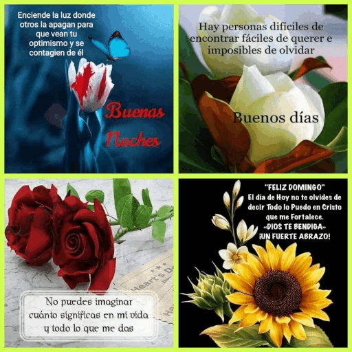 Buenos dias con flores logo