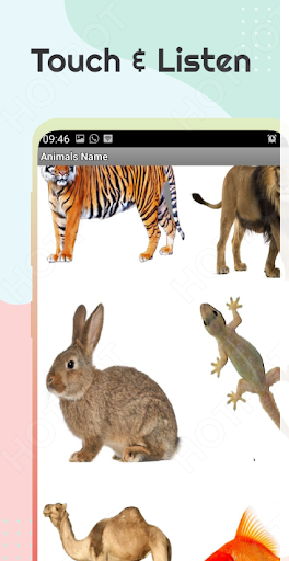 Android application Learn Animal screenshort
