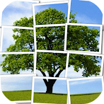 Trees Puzzle
