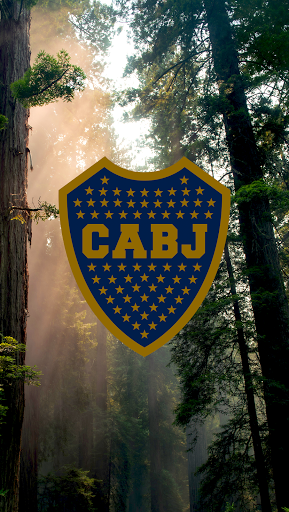 Linterna Boca Juniors