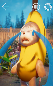 Banana Series : Cute Cat Meme
