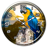Parrot Clock Live Wallpaper icon