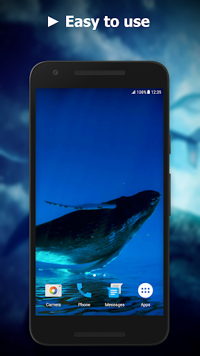 Blue Whale Video Wallpapers Screen 3