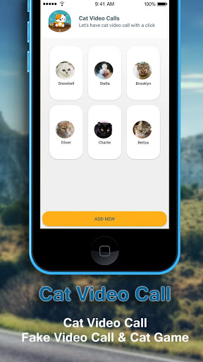 Cute Cat Video Call - Fake Video Call  Cat Game