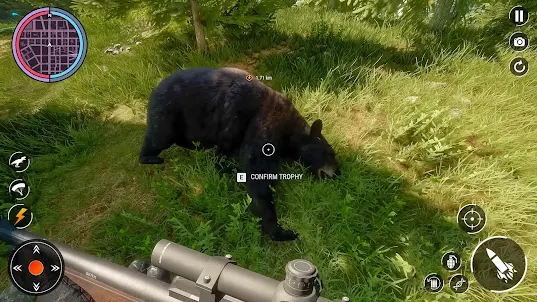 Wild Animal Hunter Shooting