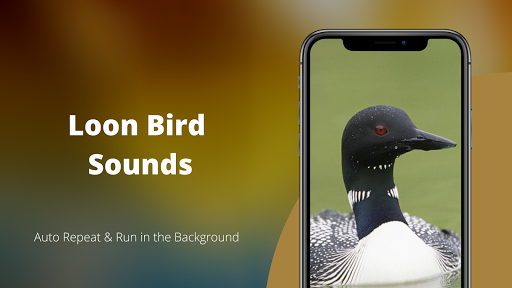 Android application Loon Sounds screenshort