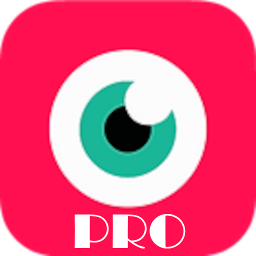 NDI Camera PRO logo