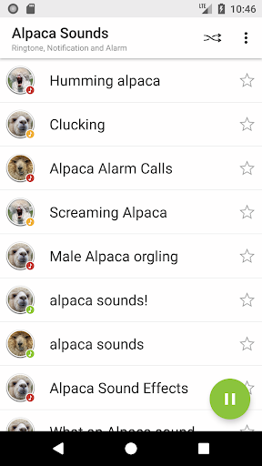 Alpaca Sounds Screen 2