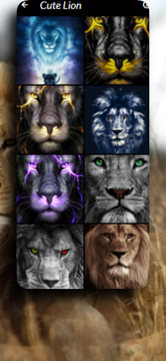 Android application Trendy Lion King Wallpaper screenshort