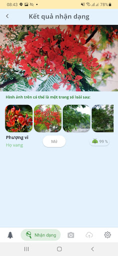 VietPlant - Nhận dạng cây rừng Screen 2