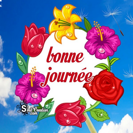 BONJOUR GIF Download on Windows