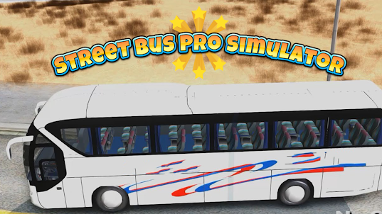 Street Bus Pro Simulator