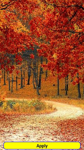 Sunshine Wallpapers Screen 2