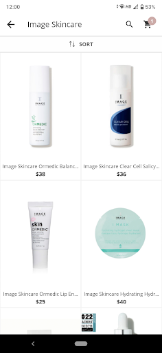 Artisan of Skin Screen 3