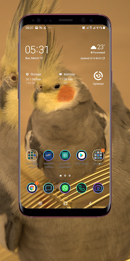 Parrot Wallpaper Screen 2