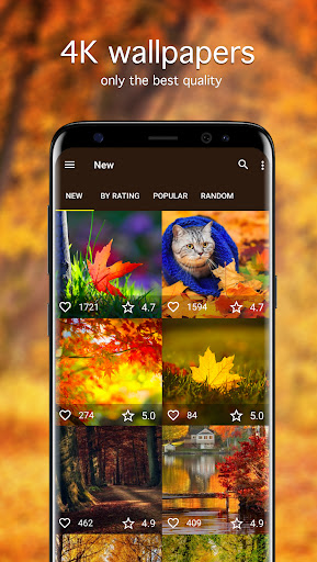 Autumn Wallpapers 4K Screen 2