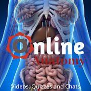 ONLINE Anatomy - Videos, Quizzes and Chats.