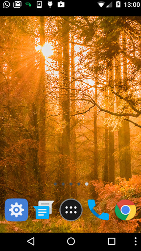 Android application enchanted forest wallpaper screenshort