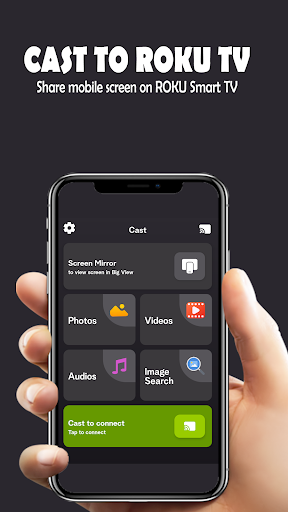 Roku TV Remote Controller