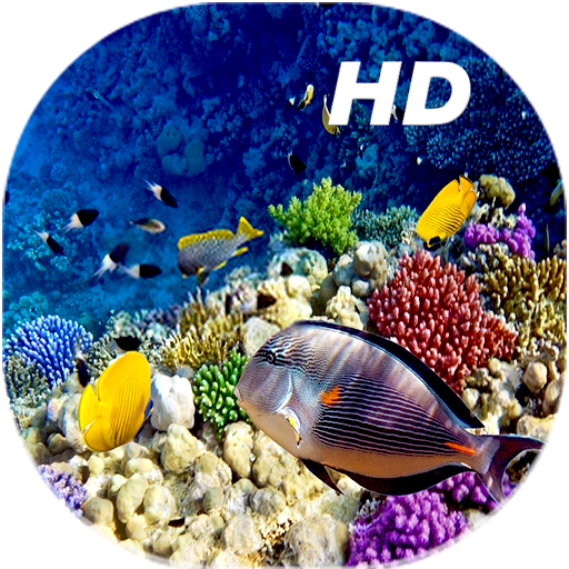 サンゴ礁ライブ壁紙hd Google Play のアプリ