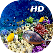 Coral Reef Live Wallpapers HD