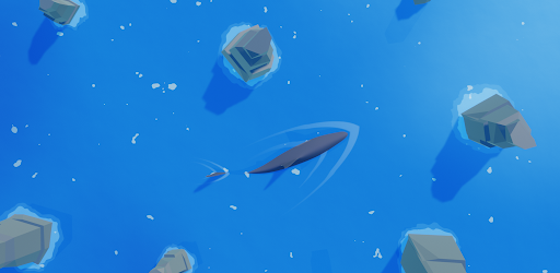 Shark Attack