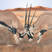 Top 45 Books & Reference Apps Like Mammals of the Southern African Subregion - Best Alternatives