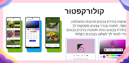 צילום מסך