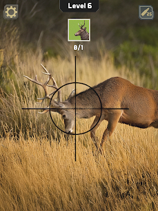 Animal Hunter: Caça ao Veado 9