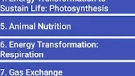 Life Science Grade 12 Past Papers 2019 Memo