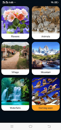 AAM Puzzle Screen 3