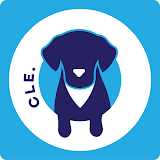 Social Dog Cle icon