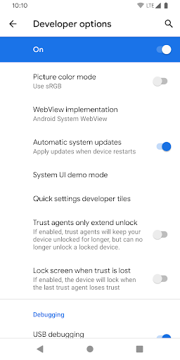 Screenshot of Developer Options Shortcut