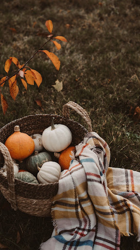 Pumpkin Wallpaper Screen 2