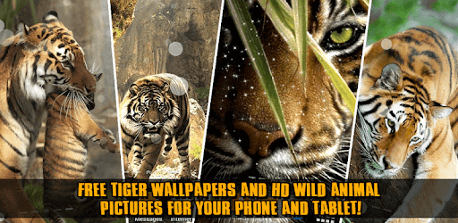 Hintergrundbilder Live Tiger Apps Bei Google Play