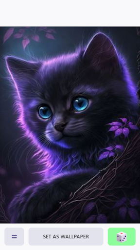 Cute Cat Wallpaper
