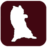 Becker cat's adventures icon