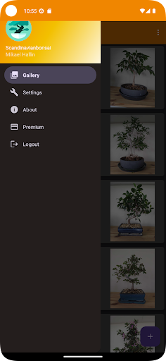 scandinavianbonsai