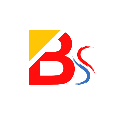 BigSale logo