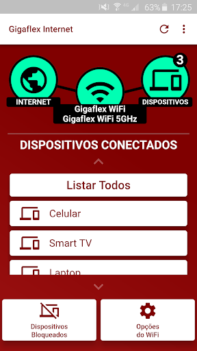 Gigaflex Internet Screen 2