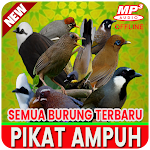 Cover Image of Download Pikat Semua Burung Ampuh Terbaru 2021 Offline 1.0 APK