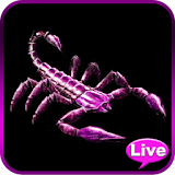 Scorpion Animated Wallpaper icon