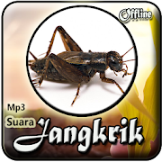 Suara Jangkrik Mp3 Offline