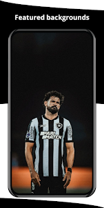Botafogo Wallpaper 2024