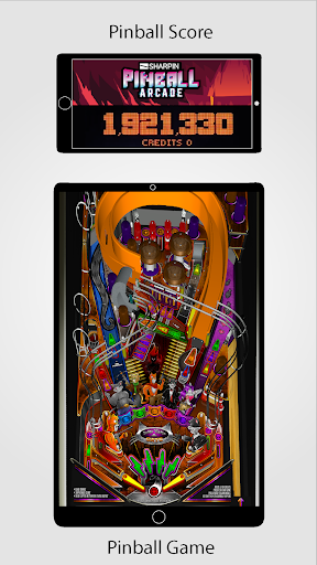Pinball DMD Screen // Viewer Screen 3